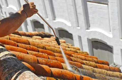 Nettoyage de toitures - Dausse